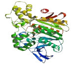 Carboxylesterase 4A (CES4A)