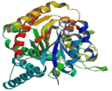 Carboxypeptidase A4 (CPA4)