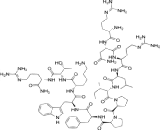 Cardiotoxin III (CTX III)