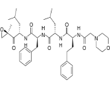 Carfilzomib (CFZ)