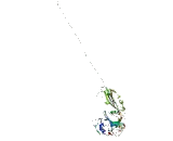 Carnosine Dipeptidase 2 (CNDP2)