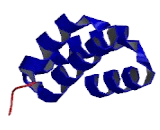 Cartilage Associated Protein (CRTAP)