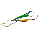 Cartilage Intermediate Layer Protein (CILP)