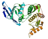 Casein Kinase 1 Beta (CSNK1b)