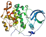 Casein Kinase 2 Alpha 2 (CSNK2a2)