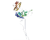 Caseinolytic Peptidase X (CLPX)