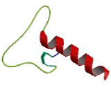 Caspase 10 (CASP10)