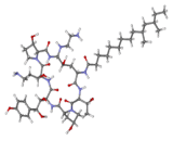 Caspofungin (CPF)