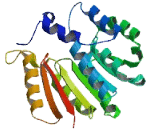 Catechol-O-Methyltransferase Domain Containing Protein 1 (COMTD1)