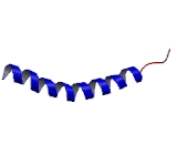 Cathelicidin Antimicrobial Peptide (CAMP)