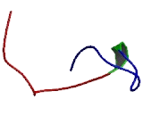 Cathepsin O (CTSO)