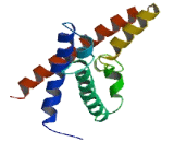 Cation Channel, Sperm Associated 2 (CATSPER2)