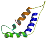 Cation Channel, Sperm Associated 3 (CATSPER3)