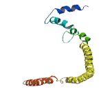 Cation Channel, Sperm Associated 4 (CATSPER4)