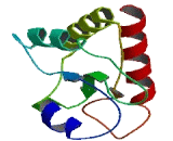 Cation Channel, Sperm Associated Gamma (CATSPERg)