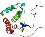 Cation Chloride Cotransporter 9 (CCC9)