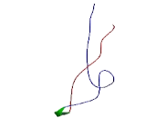 Cation Transport Regulator Like Protein 1 (CHAC1)