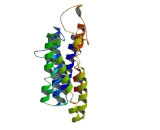 Cationic Amino Acid Transporter 2 (CAT2)