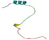 Cbp/p300 Interacting Transactivator, With Glu/Asp Rich Carboxy Terminal Domain 2 (CITED2)