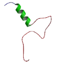 Cbp/p300 Interacting Transactivator, With Glu/Asp Rich Carboxy Terminal Domain 3 (CITED3)