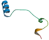 Cbp/p300 Interacting Transactivator, With Glu/Asp Rich Carboxy Terminal Domain 4 (CITED4)