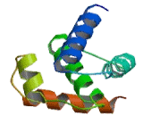 CDK5 And Abl Enzyme Substrate 1 (CABLES1)