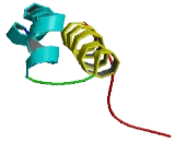 CDK5 And Abl Enzyme Substrate 2 (CABLES2)