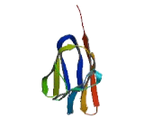 Cell Adhesion Molecule 3 (CADM3)