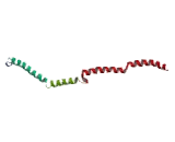 Cell Cycle Associated Protein 1 (CAPRIN1)