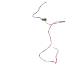 Cell Cycle Exit And Neuronal Differentiation 1 (CEND1)