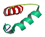 Cell Division Cycle And Apoptosis Regulator 1 (CCAR1)