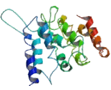 Cell Division Cycle Associated Protein 4 (CDCA4)