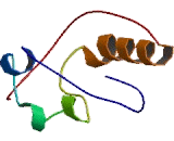 Cell Division Cycle Associated Protein 7 (CDCA7)