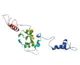 Cell Division Cycle Associated Protein 7 Like Protein (CDCA7L)