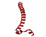 Cell Division Cycle Associated Protein 8 (CDCA8)