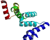 Cell Division Cycle Protein 23 (CDC23)