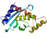 Cell Division Cycle Protein 34 (CDC34)