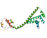 Cell Division Cycle Protein 37 (CDC37)