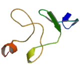 Cell Division Cycle Protein 45 (CDC45)