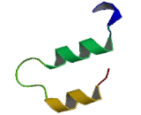 Cell Division Cycle Protein 7 (CDC7)