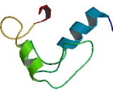 Cell Growth Regulator With EF-Hand Domain 1 (CGREF1)