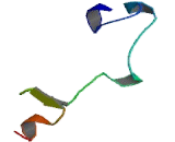 Cellular Nucleic Acid Binding Protein (CNBP)