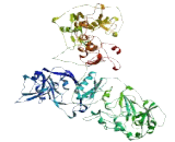 Centriolar Coiled Coil Protein Of 110kDa (CCP110)