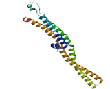 Centromere/Kinetochore Protein Zeste White 10 (ZW10)