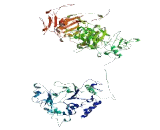 KAT8 Regulatory NSL Complex Subunit 1 (KANSL1)