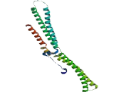 Centromere Protein H (CENPH)