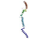 Centromere Protein K (CENPK)