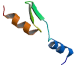 Centromere Protein L (CENPL)