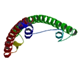 Centromere Protein O (CENPO)