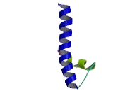 Centromere Protein T (CENPT)